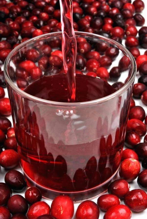 قیمت خرید آب ذغال اخته ۱/۵ لیتری دست ساز عمده به صرفه و ارزان 6
