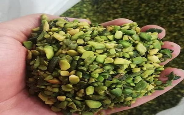 خرید و فروش مغز پسته دندانه سبز با شرایط فوق العاده 4