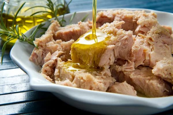 قیمت تن ماهی کنارک هوور با کیفیت ارزان + خرید عمده 4