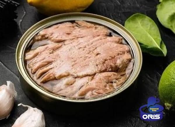 فروش تن ماهی نوش جان + قیمت خرید به صرفه 3