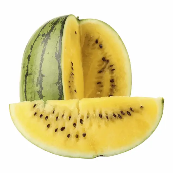 خرید و قیمت هندوانه طلایی ارگانیک + فروش عمده 4