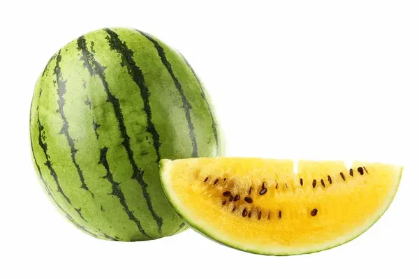 خرید و قیمت هندوانه طلایی ارگانیک + فروش عمده 5