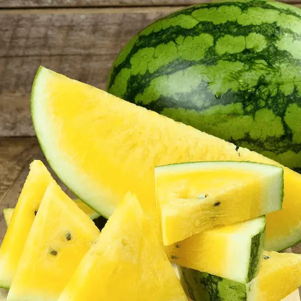 خرید و قیمت هندوانه طلایی ارگانیک + فروش عمده 6