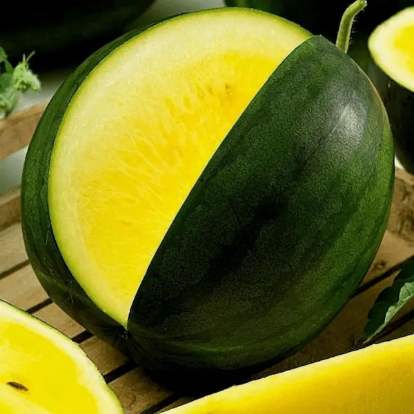 خرید و قیمت هندوانه طلایی ارگانیک + فروش عمده 2
