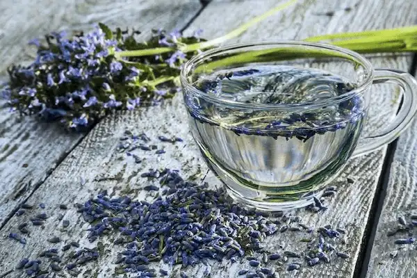قیمت عرق گاوزبان ارگانیک + خرید باور نکردنی 5