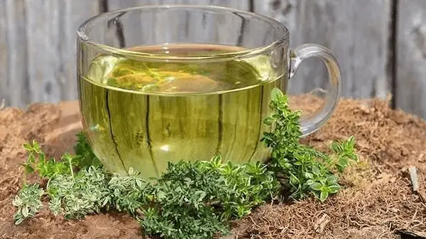 خرید عرق مدر دفع سنگ کلیه + قیمت فروش استثنایی 5