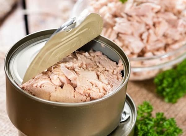 خرید و قیمت تن ماهی هوور چابهار + فروش عمده 5