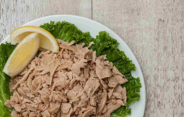خرید و قیمت تن ماهی هوور چابهار + فروش عمده 2