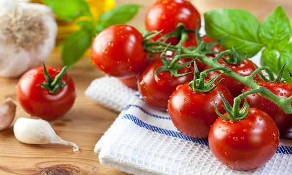 قیمت خرید گوجه فرنگی درجه یک با فروش عمده 3