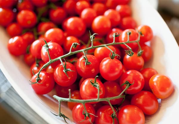 قیمت خرید گوجه فرنگی درجه یک با فروش عمده 5