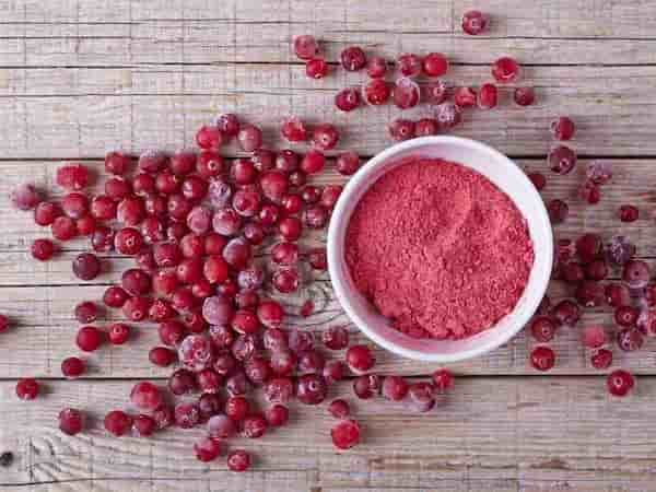 قیمت پودر بستنی آلبالو + خرید باور نکردنی 2
