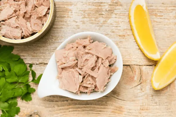 راهنمای خرید تن ماهی بدون روغن + قیمت عالی 3