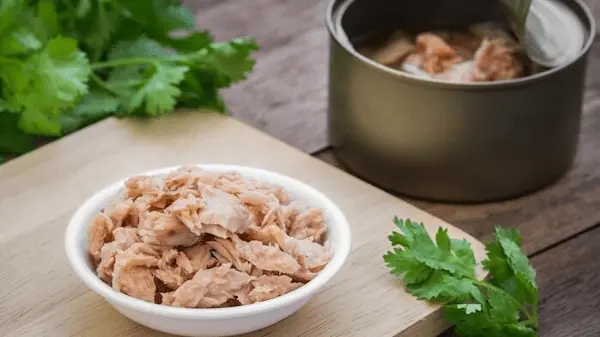 راهنمای خرید تن ماهی بدون روغن + قیمت عالی 5