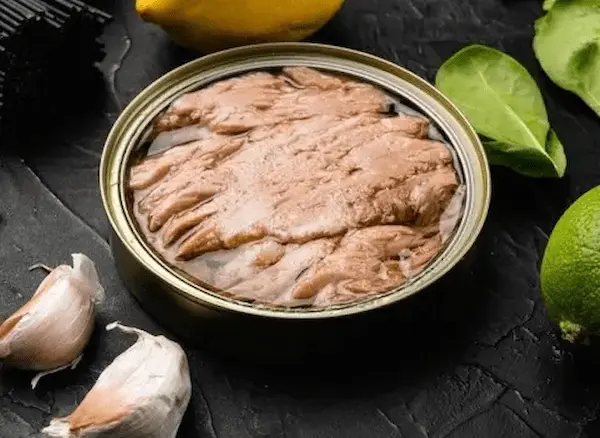 راهنمای خرید تن ماهی بدون روغن + قیمت عالی 2