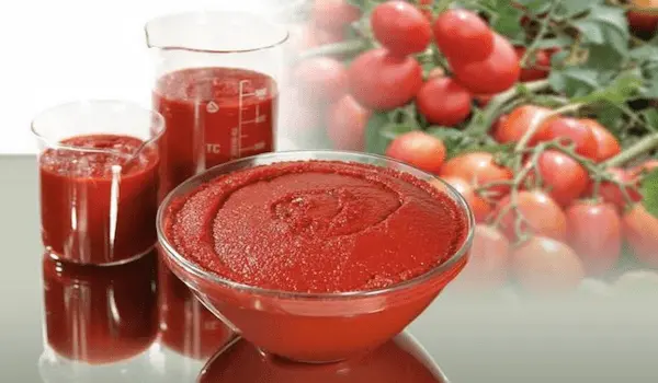 قیمت رب گوجه فرنگی شاپرک + خرید باور نکردنی 4