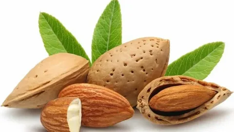 قیمت بادام درختی طعم دار با کیفیت ارزان + خرید عمده