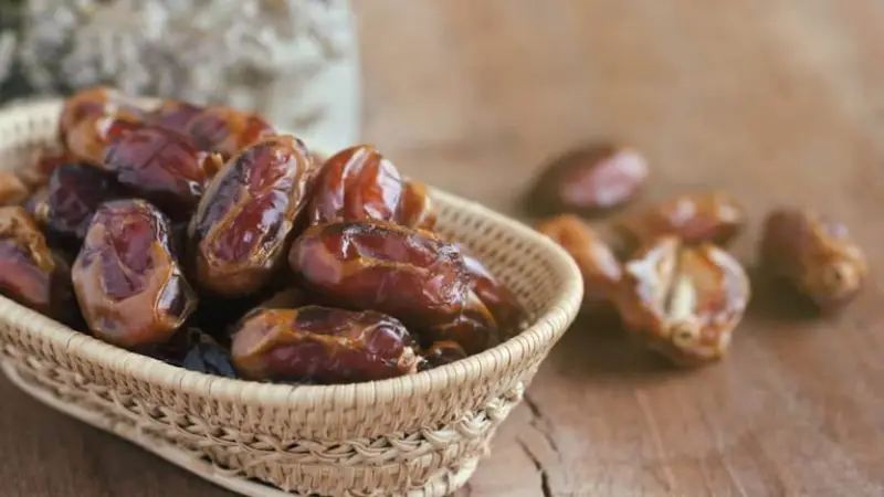 خرمای کبکاب بوشهر دشتستان 2