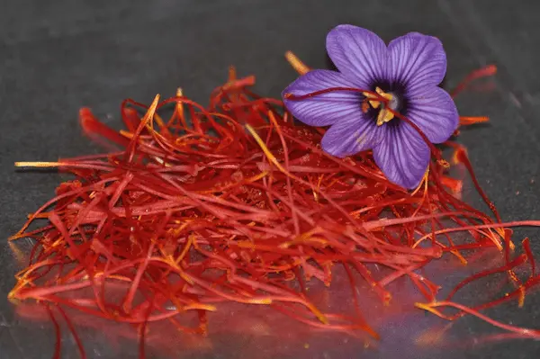 زعفران نگین لوکس برای پذیرایی رسمی 3