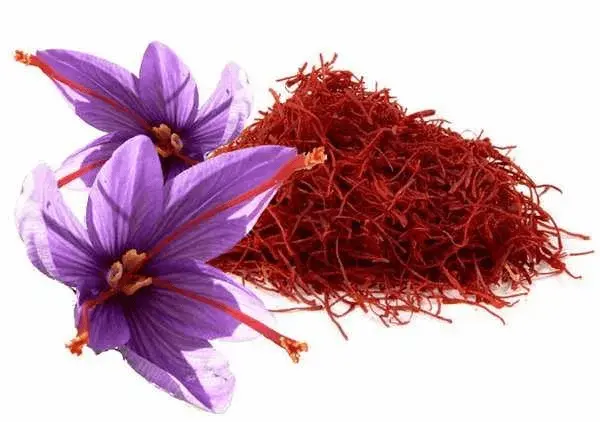 خرید زعفران نیم گرمی + قیمت فروش استثنایی 2