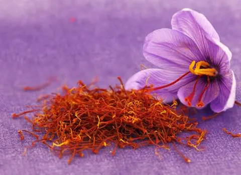 زعفران ممتاز صادراتی صد در صد خالص ایرانی 4