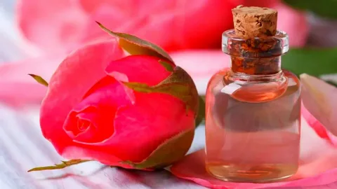 خرید شربت بیدمشک گلاب + قیمت فروش استثنایی 6