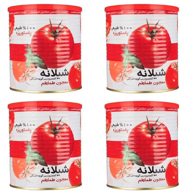 قیمت رب گوجه فرنگی شیلانه با کیفیت ارزان + خرید عمده 6