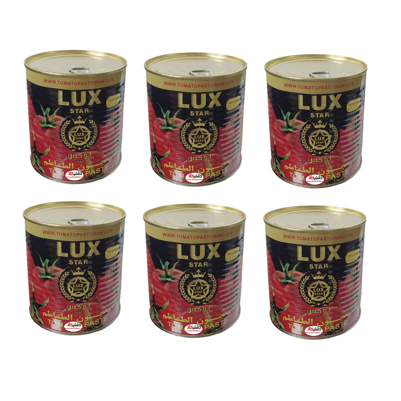 قیمت خرید رب گوجه لوکس + فروش ویژه 6
