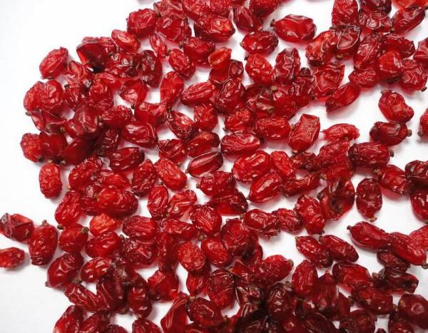 قیمت خرید زرشک ریز تالاری با فروش عمده 6
