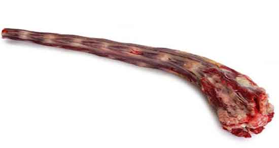 قیمت خرید روده بزرگ گوسفندی عمده به صرفه و ارزان 5