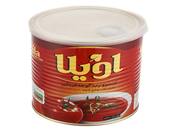 خرید رب گوجه فرنگی اویلا ۸۰۰ گرم + قیمت فروش استثنایی 6