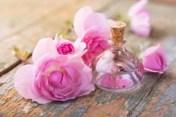 خرید و قیمت گلاب غنچه گل محمدی + فروش عمده 2