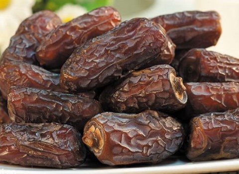خرید و فروش خرما کبکاب جهرم با شرایط فوق العاده 2