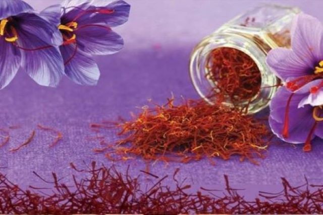 قیمت خرید زعفران نیم گرمی با فروش ویژه 4