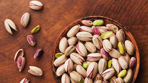 فروش پسته لب شور + قیمت خرید به صرفه 6