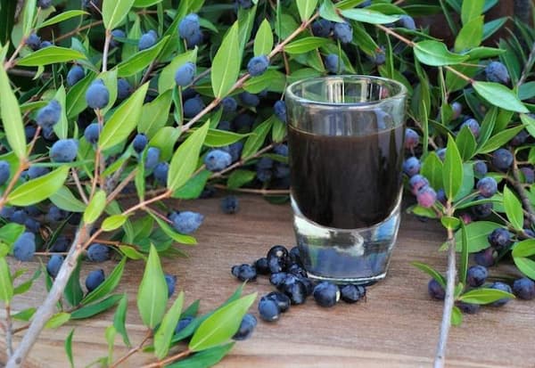 قیمت خرید عرق مورد برای رشد مو + فروش ویژه 2