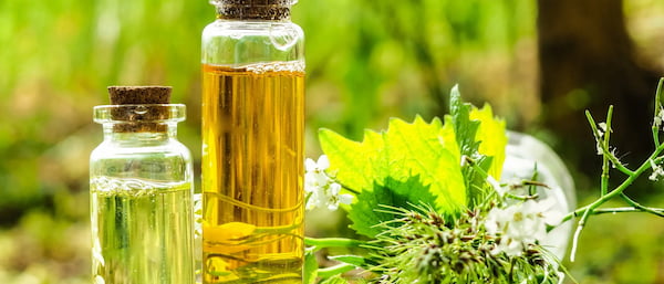 قیمت خرید عرق مورد برای رشد مو + فروش ویژه 4