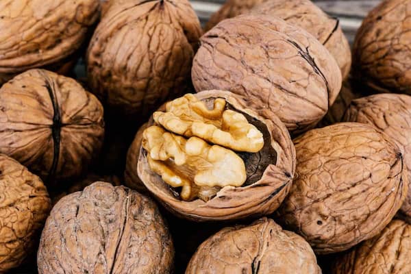قیمت گردو سامان شهرکرد + خرید باور نکردنی 5