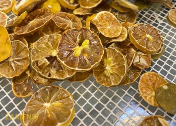 خرید میوه خشک لیمو + قیمت فروش استثنایی 3