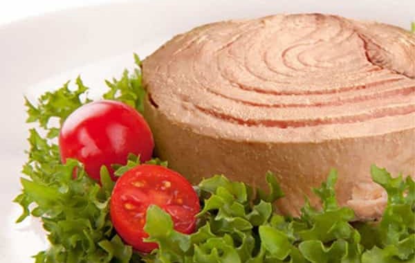 قیمت کنسرو ماهی گیدر جنوب ایران