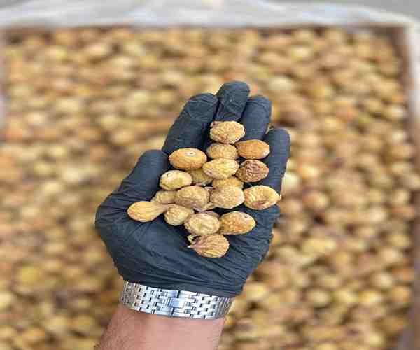خرید و قیمت انجیر خشک ریز + فروش عمده 4