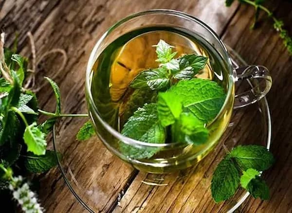 قیمت خرید عرق مورد برای رشد مو + فروش ویژه 4