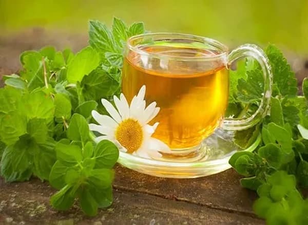 قیمت خرید عرق مورد برای رشد مو + فروش ویژه 5