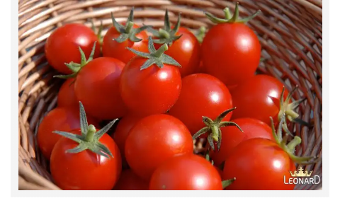 خرید رب گوجه فرنگی محلی + قیمت فروش استثنایی 6