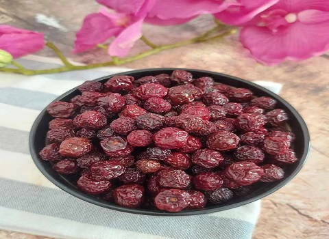 خرید میوه خشک آلبالو + بهترین قیمت 4