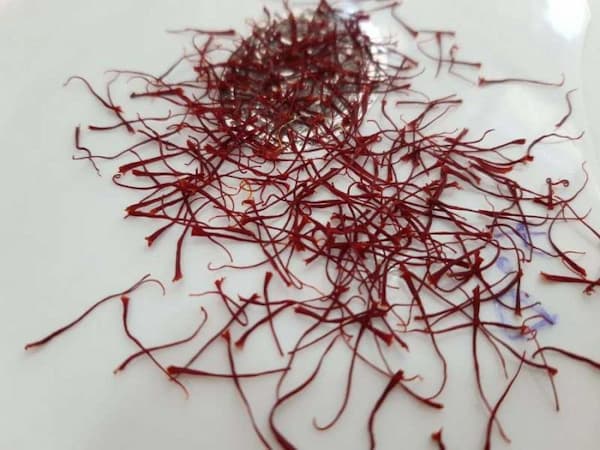 قیمت زعفران نیم مثقال + فروش ویژه 3
