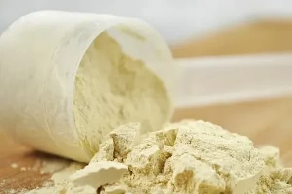 قیمت خرید پودر صدف برای بلدرچین + فروش ویژه 4