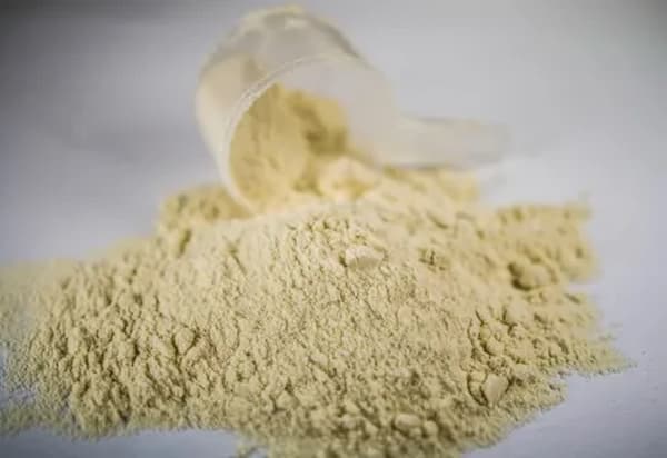 فروش پودر صدف قارچی + قیمت خرید به صرفه 6