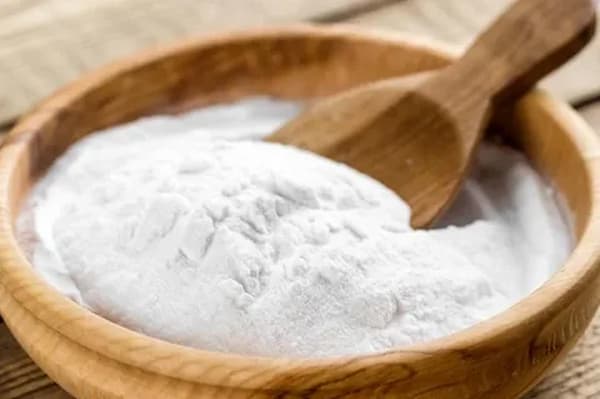 خرید و فروش صدف پودر شده با شرایط فوق العاده 5