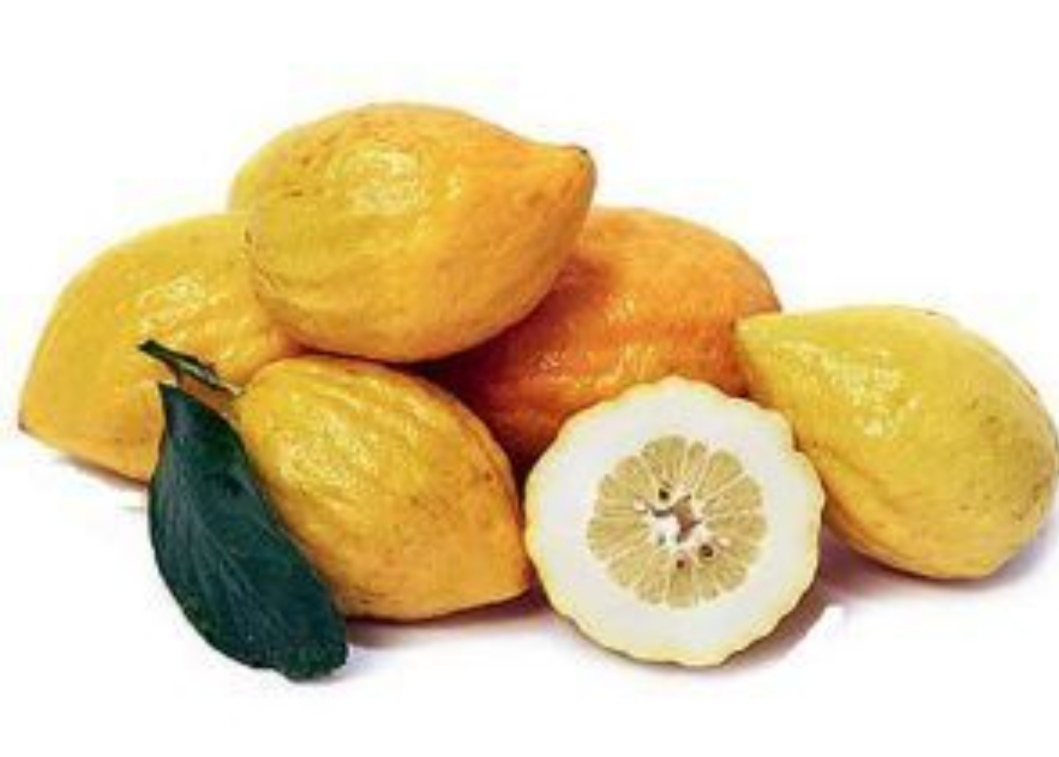 خرید و قیمت فروش عمده عرق اترج بالنگ 2