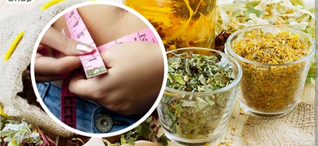 قیمت خرید عرق لاغری عمده 5